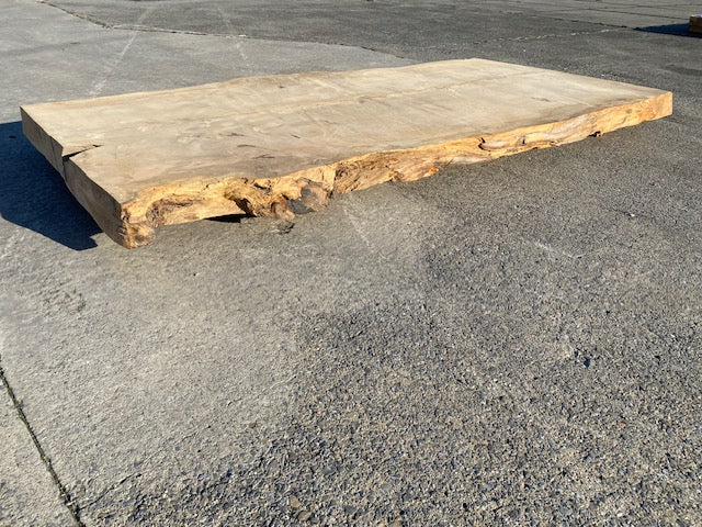Cedar Live Edge Slab – 2870 x 1270 x 120 mm – Sanded