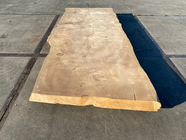 Cedar Live Edge Slab – 2860 x 1200 x 120 mm – Sanded