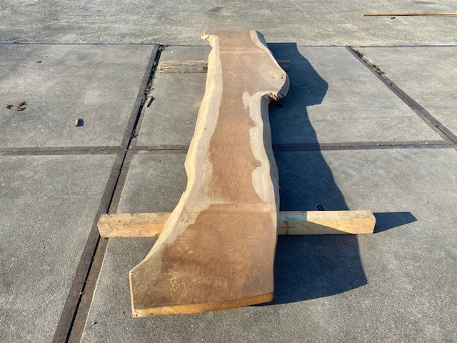 Planche en tronc de Chêne – 3100 x 500 x 50 mm – Ponçé