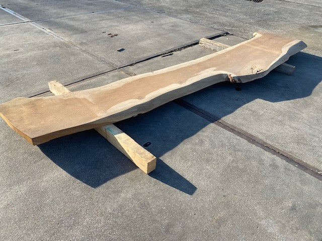 Planche en tronc de Chêne – 3100 x 500 x 50 mm – Ponçé