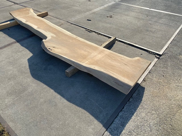 Planche en tronc de Chêne – 3100 x 500 x 50 mm – Ponçé