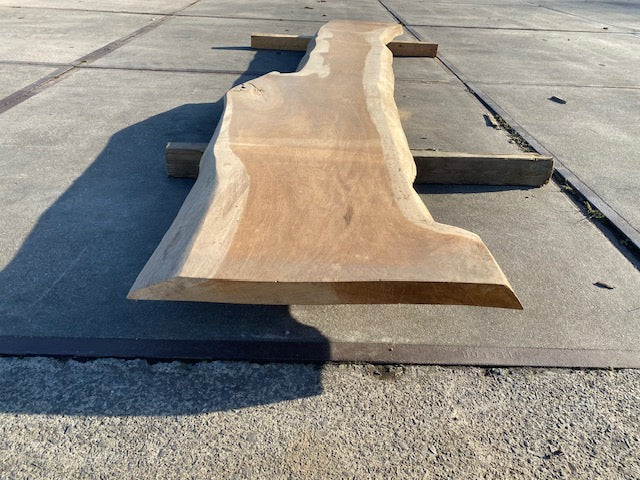 Planche en tronc de Chêne – 3100 x 500 x 50 mm – Ponçé