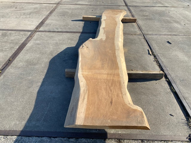 Planche en tronc de Chêne – 3100 x 500 x 50 mm – Ponçé