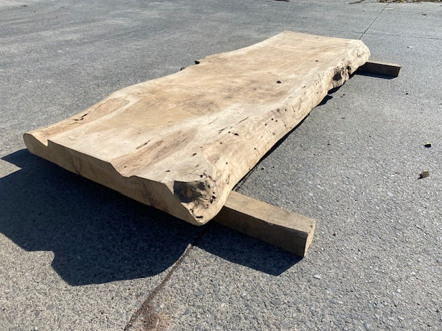 Planche en tronc de peuplier– 3480 x 760 x 80 mm – Ponçé