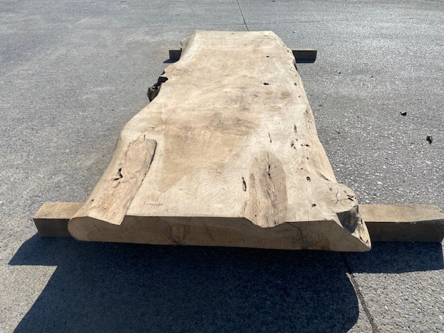 Planche en tronc de peuplier– 3480 x 760 x 80 mm – Ponçé