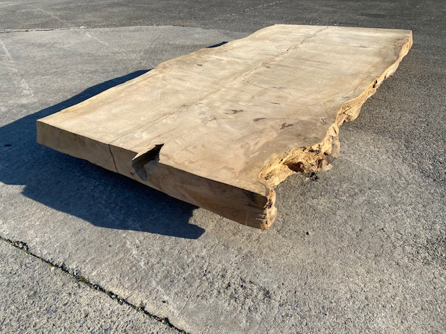 Cedar Live Edge Slab –  2870 x 1270 x 120 mm – Sanded