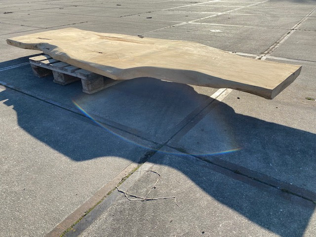 Ceder Boomstamblad – 2850 x 980 x 60 mm – Geschuurd