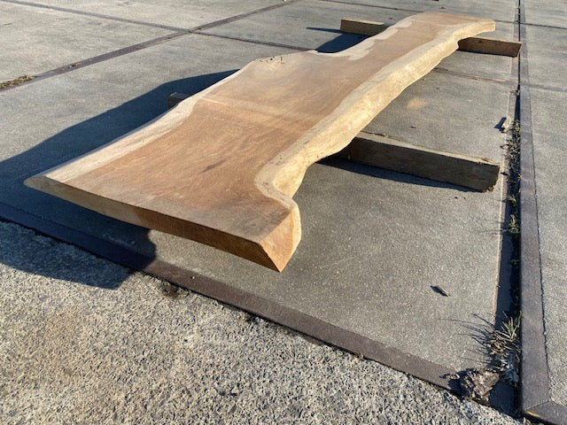 Planche en tronc de Chêne – 3100 x 500 x 50 mm – Ponçé