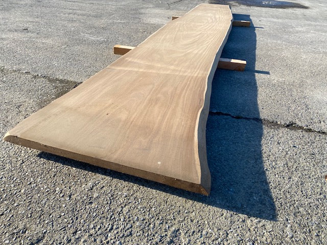 Planche en tronc d'Afrormosia – 4500 x 720 x 40 mm