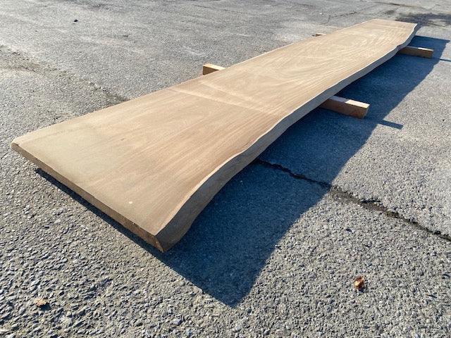 Planche en tronc d'Afrormosia – 4500 x 720 x 40 mm