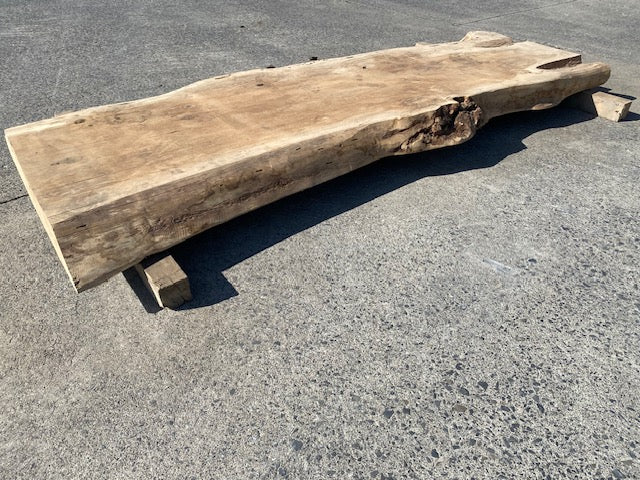 Ceder Boomstamblad – 2300 x 680 x 100 mm – Geschuurd