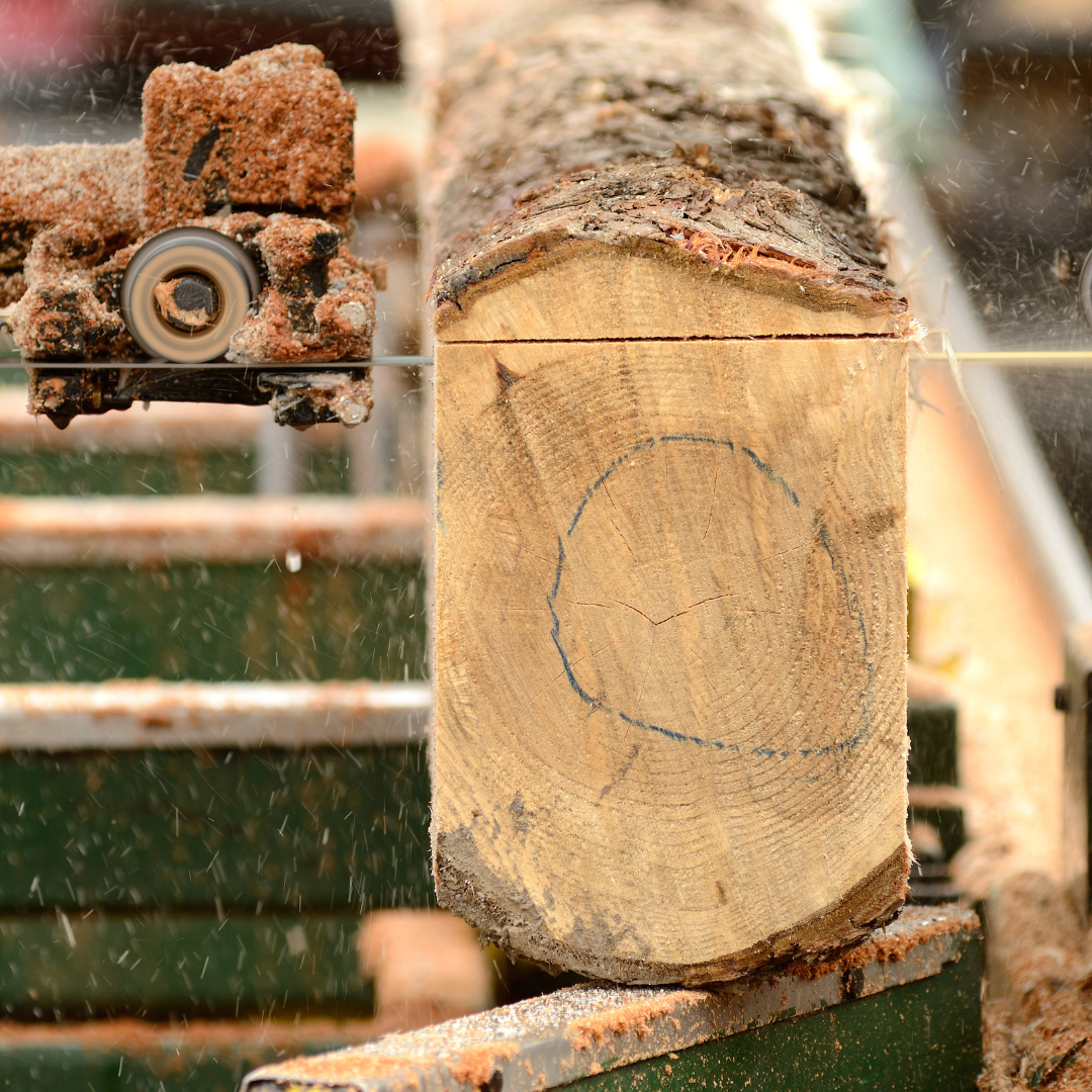 Nadat onze zorgvuldig geselecteerde bomen hun reis van het bos naar onze zagerij hebben afgelegd, begint het proces van het transformeren van stammen in hoogwaardige houtproducten. In onze zagerij gebruiken we de beste delen van de stam - ongeveer 60% - om de robuuste kwaliteitsbalken te vervaardigen die de basis vormen van onze producten.
